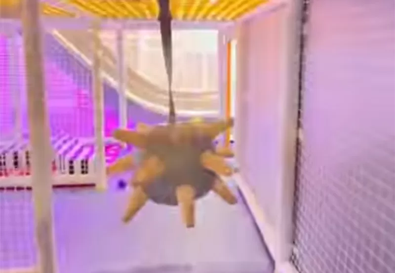 Orbit Play Hub