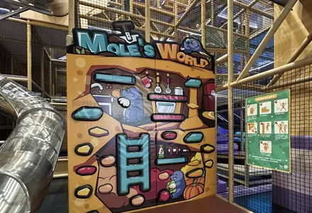 Hamster-Kletterwand für zu Hause