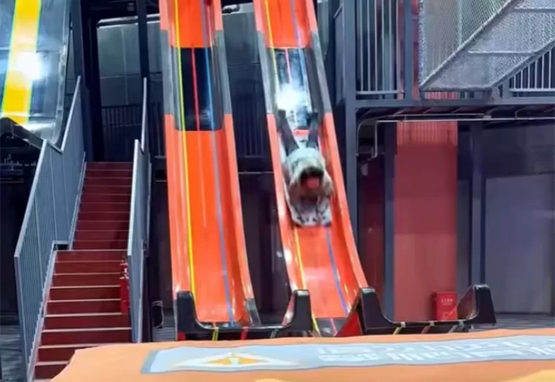 Riesige vertikale Drop-Rutsche